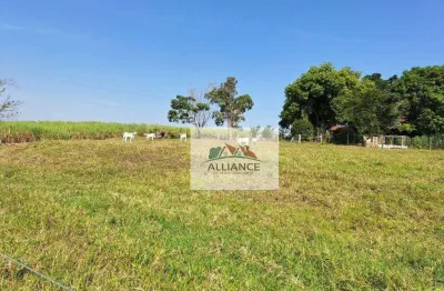 Chácara com 3 dormitórios à venda, 38000 m² por r$ 1.350.000,00 - zona rural - engenheiro coelho/sp