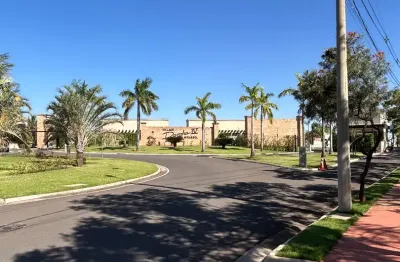 A 50 metros da área de lazer, totalmente plano. excelente posição ao sol