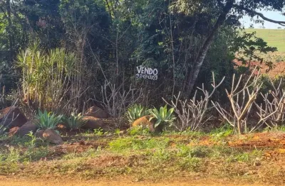 Chacara sem construcao area urbana 5.000m²  area residencial otima seguranca, internet a cabo e satelite,transporte escolar, sanepar, iptu baixo, iluminacao, fundo com rio, autorizacao para derrubada