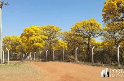 Chácara / sítio com 3 quartos à venda na Rodovia Cesario Jose De Castilho, Zona Rural, Arealva