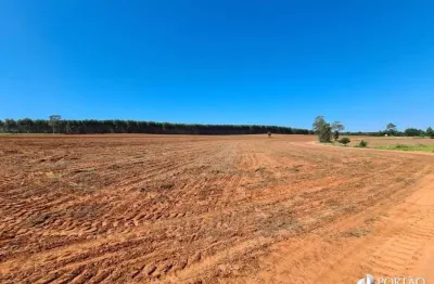Fazenda à venda na Avenida Ipiranga, Área Rural de Marília, Marília
