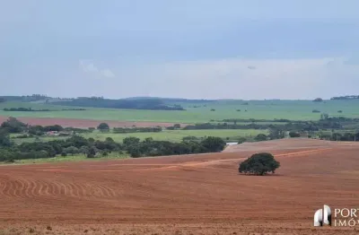 Fazenda à venda na Rua Engenheiro Saint Martin, Área Rural de Bauru, Bauru