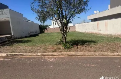 Terreno em condomínio fechado à venda na Rua Luiz Levorato, Residencial Village Campo Novo, Bauru