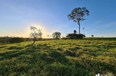 Fazenda à venda na Cafelândia, Zona Rural, Cafelândia