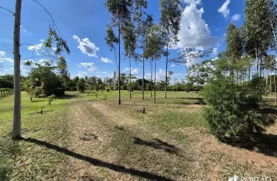 Fazenda à venda na Rua Engenheiro Saint Martin, Zona Rural, Avaí