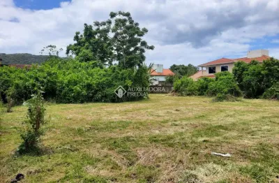 Terreno à venda na Rua Laureano, 973, Campeche, Florianópolis, 1680 m2 por R$ 3.500.000