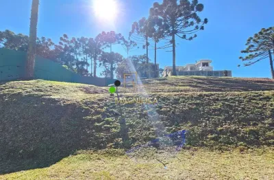 Terreno em condomínio fechado à venda na rua pedro cruzetta, 295, augusta, curitiba, 800 m2 por r$ 1.800.000