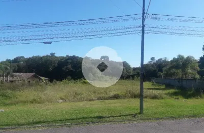 Terreno à venda, 16.500 m² por r$ 1.889.000 - são miguel - araucária/pr