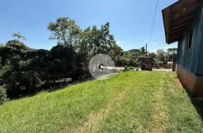 Terreno à venda na Rua das Dálias, 2536, Campina da Barra, Araucária