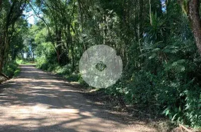 Chácara à venda em rodeio santo antônio  balsa nova pr  20.000 m  por r  170.000