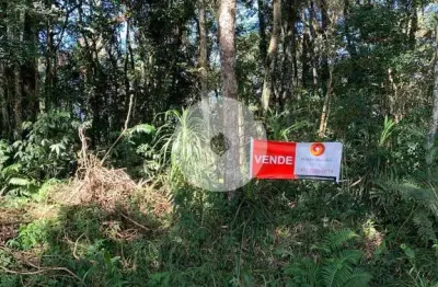 Chácara à venda em rodeio santo antônio  balsa nova pr  20.000 m  por r  170.000