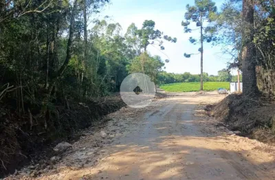 Terreno à venda na Estrada Do Felpudo, 685, Salgadinho, Campo Largo