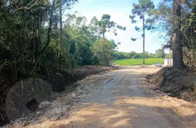 Terreno à venda na Estrada Do Felpudo 685, 685, Salgadinho, Campo Largo
