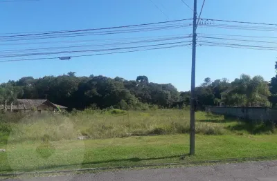 Excelente Área á venda - 16.500m   Araucária – Pr. Rua Francisco Knopik -