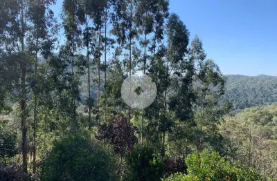 Chácara 4.600 m  com casa e pomar à venda na estrada itambé  campo largo.