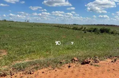 Sítio à venda, 186824 m² por r$ 1.700.000 - centro - presidente castelo branco/pr