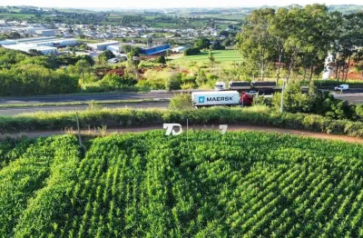 Área à venda, 144000 m² por r$ 14.400.000,00 - centro - marialva/pr