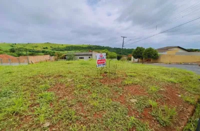 Terreno à venda, 480 m² por R$ 150.000,00 - Jardim Nova Esperança - Londrina/PR