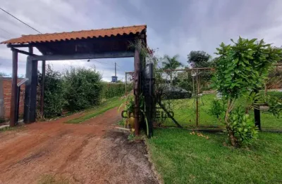 Chácara à venda, 1000 m² por r$ 430.000 - coroados - londrina/pr