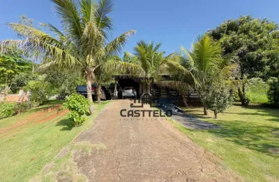 Chácara / sítio com 3 quartos à venda na Rodovia PR-445, Selva, Londrina