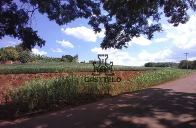 Sítio à venda, 121000 m² por r$ 4.000.000,00 - coroados - londrina/pr