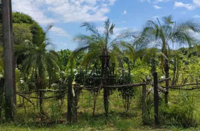 Chácara à venda, 5065 m² por r$ 285.000 - três bocas - londrina/pr