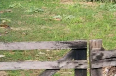 Terreno à venda, 300 m² por r$ 550.000,00 - indústrias leves - londrina/pr
