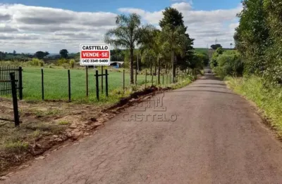 Sítio à venda, 20 m² por r$ 1.700.000,00 - jardim shenandoa - marialva/pr