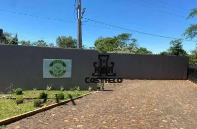Chácara à venda, 1000 m² por r$ 160.000,00 - zona rural - londrina/pr