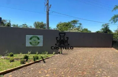 Chácara à venda, 1000 m² por r$ 132.000,00 - zona rural - londrina/pr