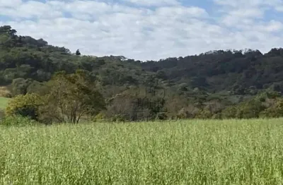Sítio à venda, 205700 m² por r$ 2.600.000 - distrito lerroville - londrina/pr