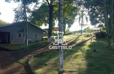 Chácara à venda, 5596 m² por r$ 850.000 - três bocas - londrina/pr