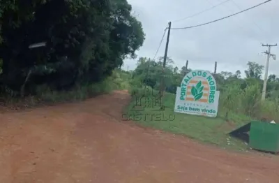 Chácara à venda, 1000 m² por r$ 110.000,00 - coroados - londrina/pr