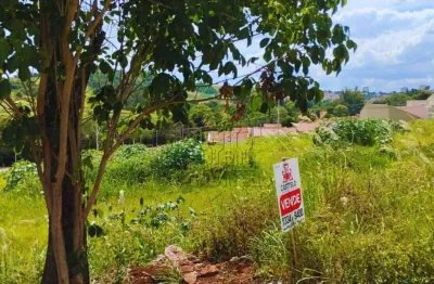 Terreno à venda, 250 m² por R$ 70.000,00 - Esperança - Ibiporã/PR