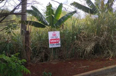 Terreno à venda, 250 m² por r$ 70.000,00 - esperança - ibiporã/pr