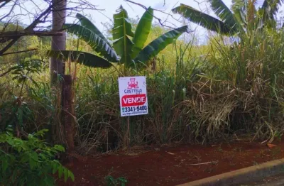 Terreno à venda, 250 m² por R$ 70.000,00 - Esperança - Ibiporã/PR