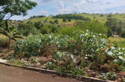 Terreno à venda, 250 m² por r$ 70.000,00 - esperança - ibiporã/pr