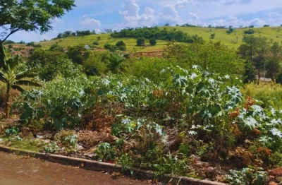 Terreno à venda, 250 m² por r$ 70.000,00 - esperança - ibiporã/pr