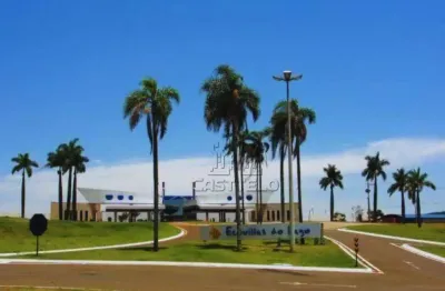 Terreno à venda, 2340 m² por R$ 801.000,00 - Rodovia - Sertanópolis/PR