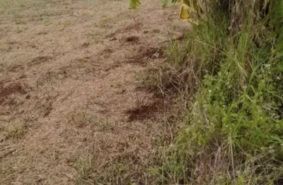 Chácara à venda, 450 m² por r$ 95.000,00 - centro - alvorada do sul/pr