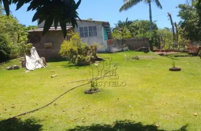 Chácara à venda, 2200 m² por r$ 370.000,00 - três bocas  - londrina/pr