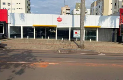 Loja para alugar, 915 m² por r$ 24.000,00/mês - jardim higienópolis - londrina/pr