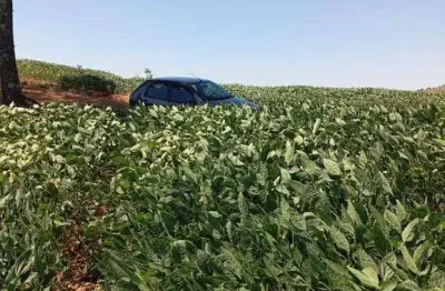 Chácara / sítio à venda na Zona Rural, Jataizinho 
