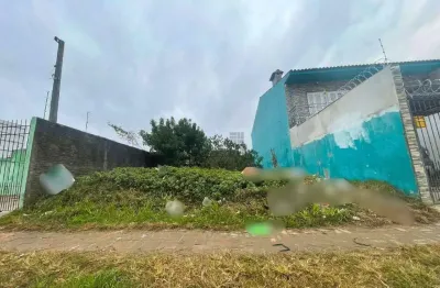 Terreno comercial para alugar no São Gonçalo, Pelotas 