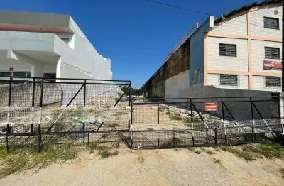 Terreno comercial para alugar no Centro, Pelotas 