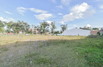 Terreno comercial para alugar no Areal, Pelotas 