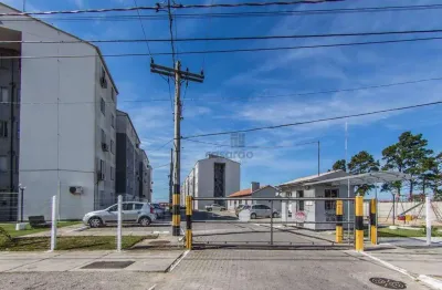 Apartamento com 2 quartos para alugar no Areal, Pelotas 