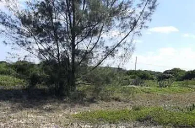 Terreno à venda na Rua Capitania São Vicente- Xexe, Farol de São Thomé, Campos dos Goytacazes