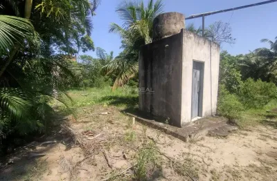 Chácara espetacular: 3 quartos, pomar e pasto, próximo a br 101