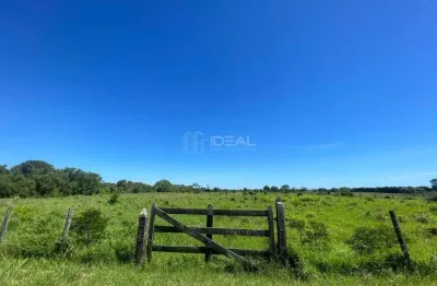 Chácara / sítio à venda na Ponto Do Coqueiro, Vivendas do Coqueiro, Campos dos Goytacazes